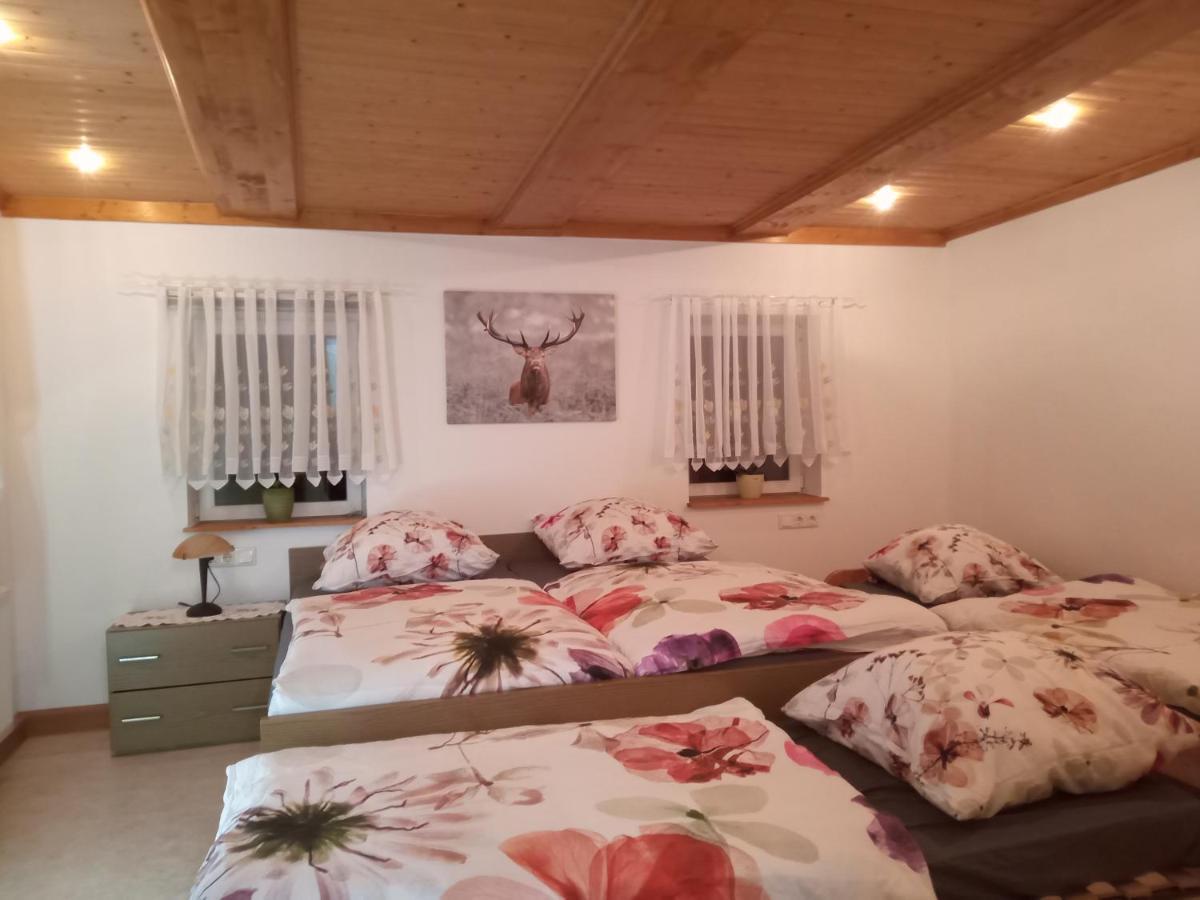 Zum Sebnitzer Hirsch Apartment Sebnitz