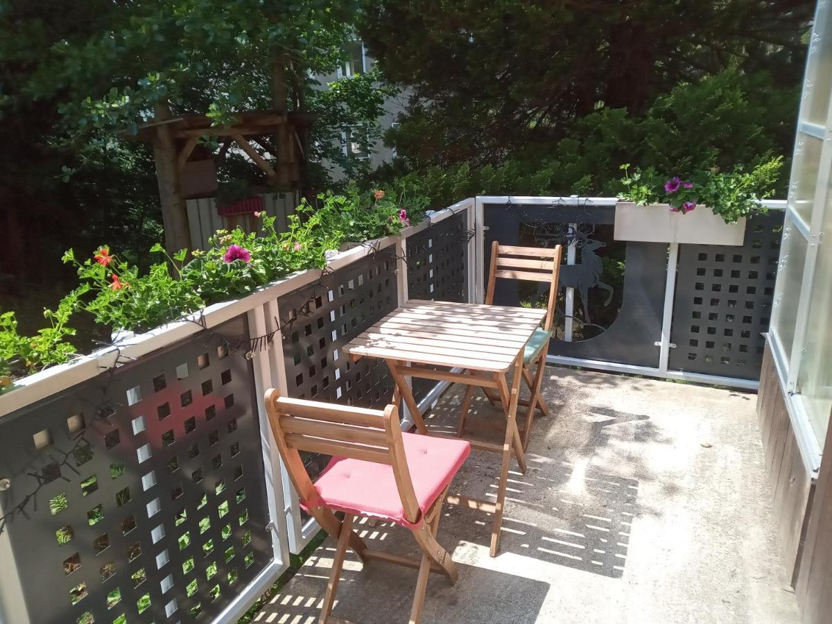 Apartment Zum Sebnitzer Hirsch *