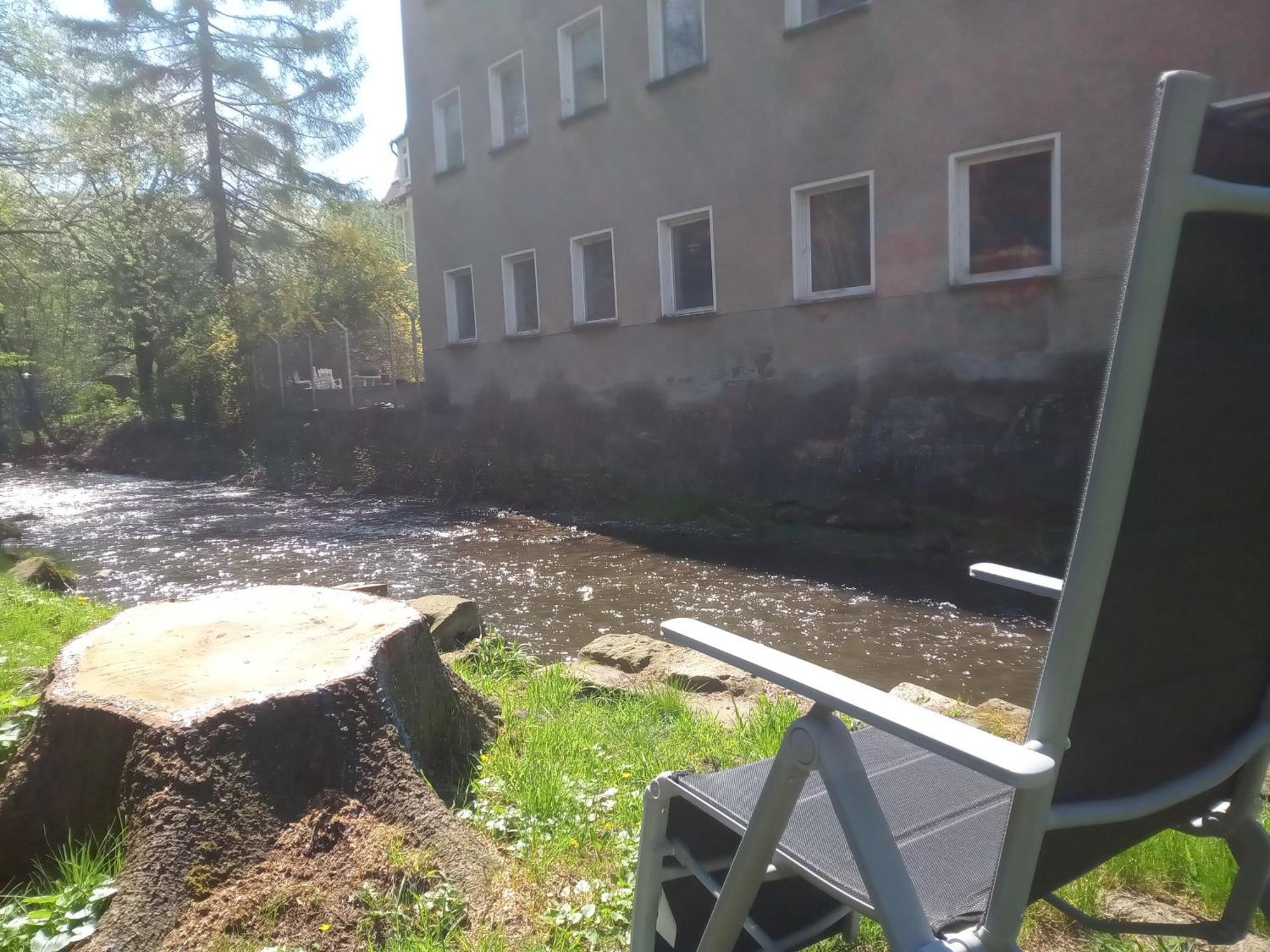 Apartment Zum Sebnitzer Hirsch Sebnitz
